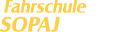 fahrschule logo | DETAY Studio